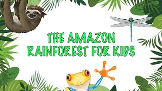 Facts about the Amazon Rainforest For kids [upl. by Ojyma]