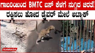 ಬೆಂಗಳೂರಿನ ತುರಹಳ್ಳಿ ಫಾರೆಸ್ಟ್ ರೋಡ್ ನಲ್ಲಿ BMTC ಬಸ್ ಕೆಳಗೆ ನುಗ್ಗಿದ ಚಿರತೆ ರ್ಕಣಾ ಕಾರ್ಯ ಸಕ್ಸಸ್ [upl. by Nehepts435]