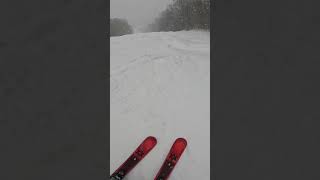 Zooming💨 ski okemos [upl. by Nhguavaj95]