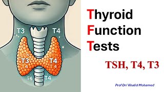 Thyroid gland profile tests كيف تقرأ تحليل الغدة الدرقية [upl. by Armilla]