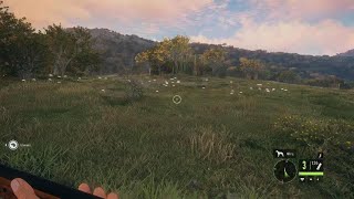 theHunter Call of the Wild Ring necked pheasant [upl. by Roche738]