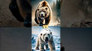 Polar bear vs grizzly boar vs hyena monitor vs snake hedgehog vs ferret rhinohippo wolfcoyote [upl. by Hsaka]