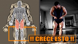 CRECE Tus Piernas Con Este SIMPLE Ejercicio no se necesita GYM [upl. by Eire]