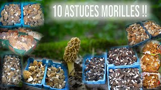 Cueillette de morilles Les 10 conseils qui vont faire la différence [upl. by Rosalind]