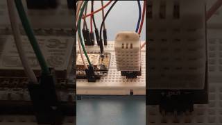 Monitor the temperature with this sensor arduinoproject diy raspberrypi [upl. by Ria66]