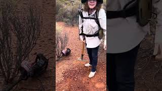 Beginner finds monster gold nugget at Kalgoorlie Western Australia [upl. by Ferrell324]