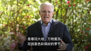 Scott Morrison  Moon Festival message 澳洲总理用中文祝贺中秋节快乐！ [upl. by Aia]