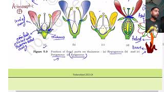 Morphology of flowering plants part 4  Class 11  The Flower  NEET [upl. by Llerad]