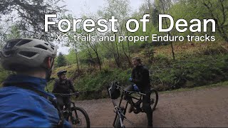 Forest of Dean  everything from XC blue with Sarah to EnduroDH With DH racer Adam Harris [upl. by Nosoj783]