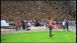 PAOK VODJA OBJASNIO  MADNESS [upl. by Adnauqal]