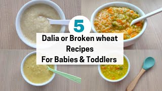 5 Broken Wheat Recipes For Babies and Toddlers  Dalia Recipes For Babies  White Pot [upl. by Carmen]