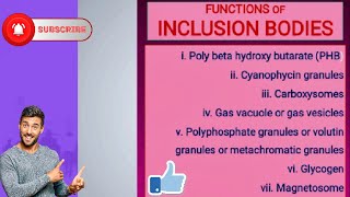 Functions of Inclusion Bodies [upl. by Elata]