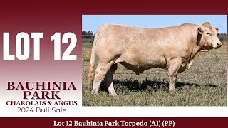 Lot 12 Bauhinia Park Torpedo AI PP [upl. by Ortiz12]