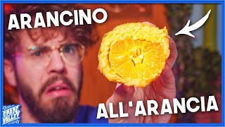 6 Arancini MAI VISTI PRIMA  Taste Test [upl. by Dleifrag]