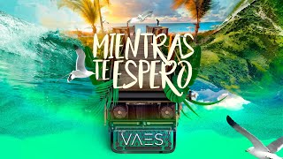 Vaes  Mientras Te Espero Lyric Video [upl. by Eceinej]