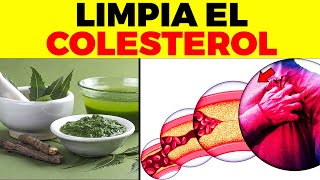 ¡ESTA es LA MEJOR HIERBA Para BAJAR el COLESTEROL de forma natural [upl. by Attener141]