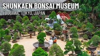 Shunkaen Bonsai Museum 春花園BONSAI美術館  Tokyo Japan  4K Tour [upl. by Weinert]