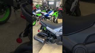 New 2024 Honda Navi For Sale Greenville SC [upl. by Ettellocin]