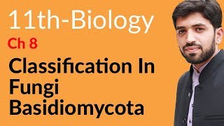 FSc Biology Book 1 Ch 8  Define Basidiomycota  11th Class Biology [upl. by Bethina465]