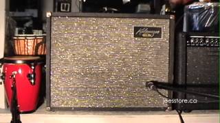 KALAMAZOO Bass 30 Tube Amp Demo  Guitar [upl. by Onailerua499]