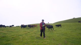 somuhang on up hill with his family  mountain sheep herders lifestyle of Nepal manjitacooking [upl. by Dougherty]