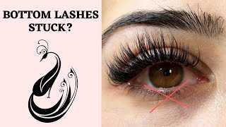 What To Do When Eyelash Extensions Get Stuck to the Bottom Eyelashes  Eyelash Extensions 101 [upl. by Beller531]