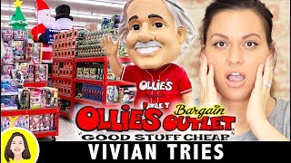 will they put BIG LOTS Out of Business  Vivian Tries [upl. by Wash]