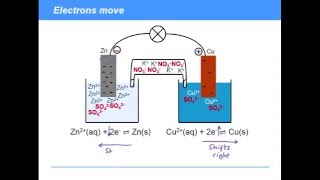 APEX Pool PSeries Replacement Salt Cell  quotWhats in the boxquot [upl. by Analram]