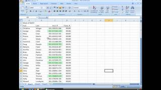 Find Duplicate Data Entries with Conditional Formatting [upl. by Nared805]