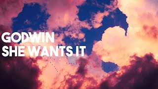 Godwin  She Wants It Clean  Lyrics [upl. by Nahttam]