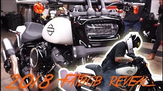 2018 HARLEY DAVIDSON FATBOB FIRST WHEELIE VLOG 25 [upl. by Ailadi]