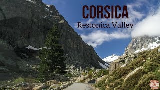 Driving the Restonica Valley Corsica [upl. by Tenaej153]