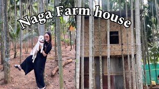 Naga Farm house piggery amp poultry farm A date day with my amico and cousin  cooking beef innards [upl. by Hanahsuar687]