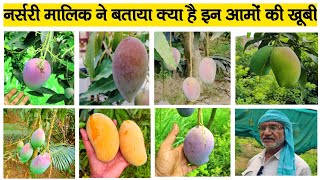 नर्सरी मालिक ने बताया क्या है इन आमो की खूबी  Nursery Visit At Malihabad Lucknow  Mango Plants [upl. by Palmira]