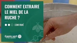 TUTO Comment extraire le miel de la ruche   Jardinerie Gamm vert [upl. by Celin104]