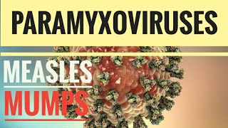 Paramyxoviruses  Measles MumpsRSVCroup [upl. by Malet688]