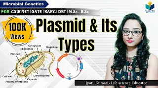 PLASMID  TYPE OF PLASMIDS  CSIR NET GATE  MSc  BSc Microbial genetics [upl. by Harv879]