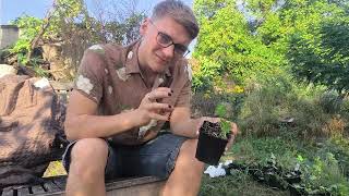 Pflanzen Unboxing 01 I Meine Traumpflanzen ziehen in meinen Garten [upl. by Jacklin582]