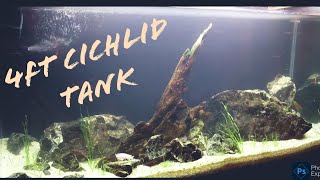 4FT Tank Cleaning  Cichlid Tank Hardscape aquraium fishes cichlids [upl. by Kato]