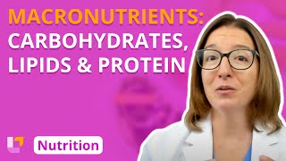 Macronutrients Carbohydrates Lipids Protein  Nutrition Essentials for Nursing  LevelUpRN [upl. by Sandra885]