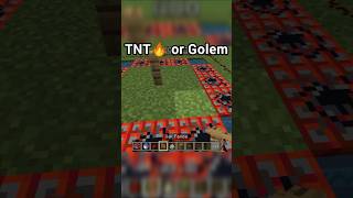 Minecraft TNT 🔥 or Iron Golem minecraftshorts [upl. by Ailicec532]