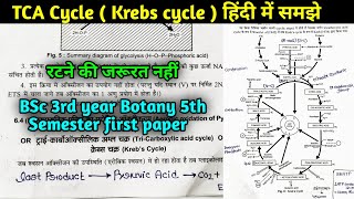 Krebs cycle in Hindi  TCA cycle in Hindi  Citric acid Cycle  BSc 3rd year Botany 5th semester [upl. by Sullecram]