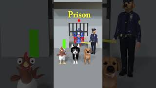 Chicken Cat cute Vs poor Dog Which animal can save Captain America cat dog [upl. by Anelec]