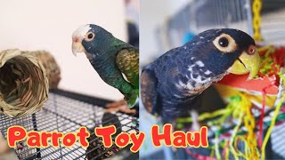 Pionus Parrot CHEAP Toy Haul  Quaffles 4th Birthday [upl. by Dibbrun528]