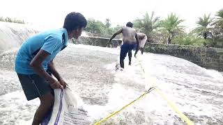 hand catching fish at flowing water  catching fish in river  fish catch in seacatchingfishnkl [upl. by Yelekalb]