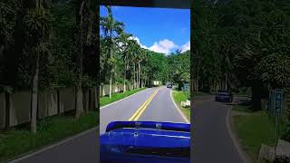 UtuadoAdjuntas boricua puertorico utuado Gruas 23 y 12 hrs 7 dias Utuado [upl. by Malkin715]