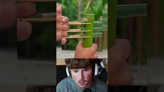 DIY Bamboo Bow and Arrow bamboo slingshots diy [upl. by Teador]