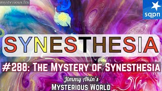 The Mystery of Synesthesia Letters Numbers Colors Sounds  Jimmy Akins Mysterious World [upl. by Anauqahs424]