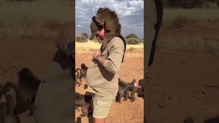 All aboard the baby baboon express 🤣 animals animallover rescueanimals wildlife africa [upl. by Stefanie]