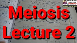 Meiosis Lecture 2 in UrduHindi [upl. by Eenehs]